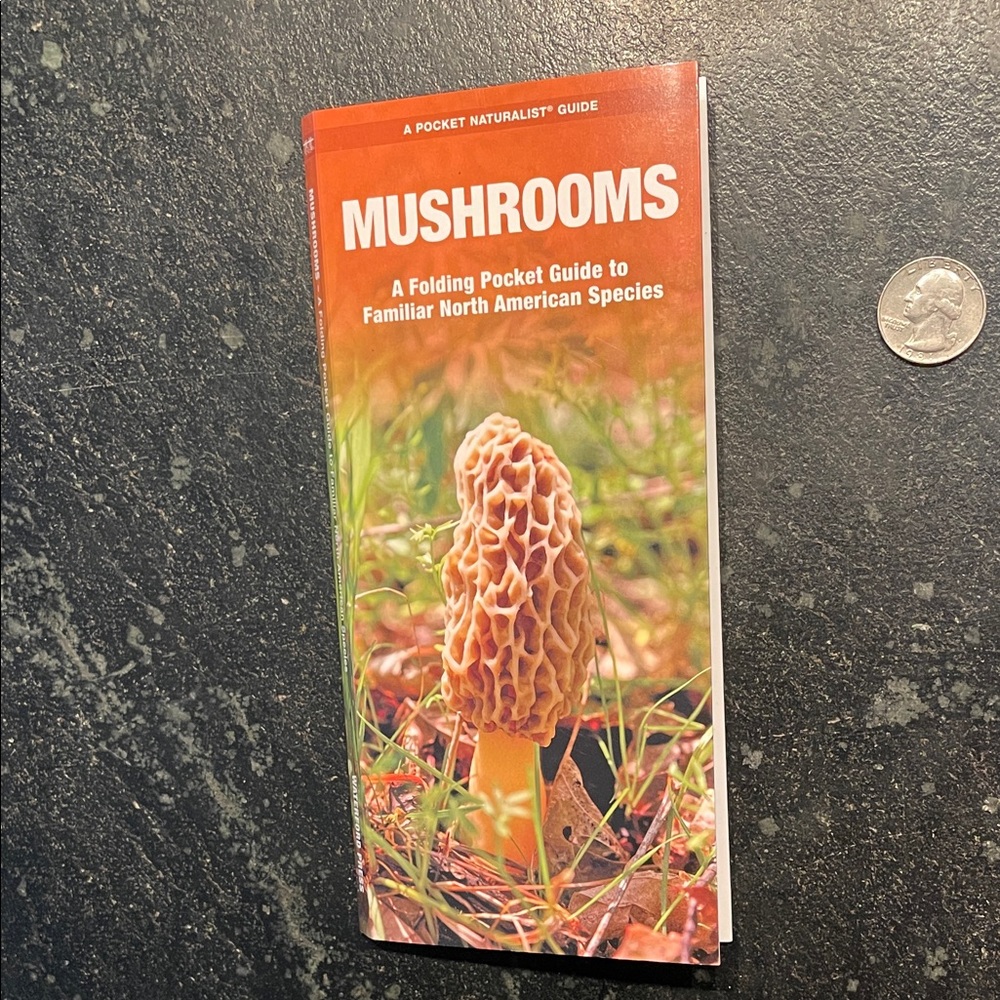 "Mushrooms: A Folding Pocket Guide to Familiar North Amer. Species" (New)
